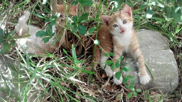 齿轮精妙转动分毫,穆勒于世界排名争夺夜化身时钟之心