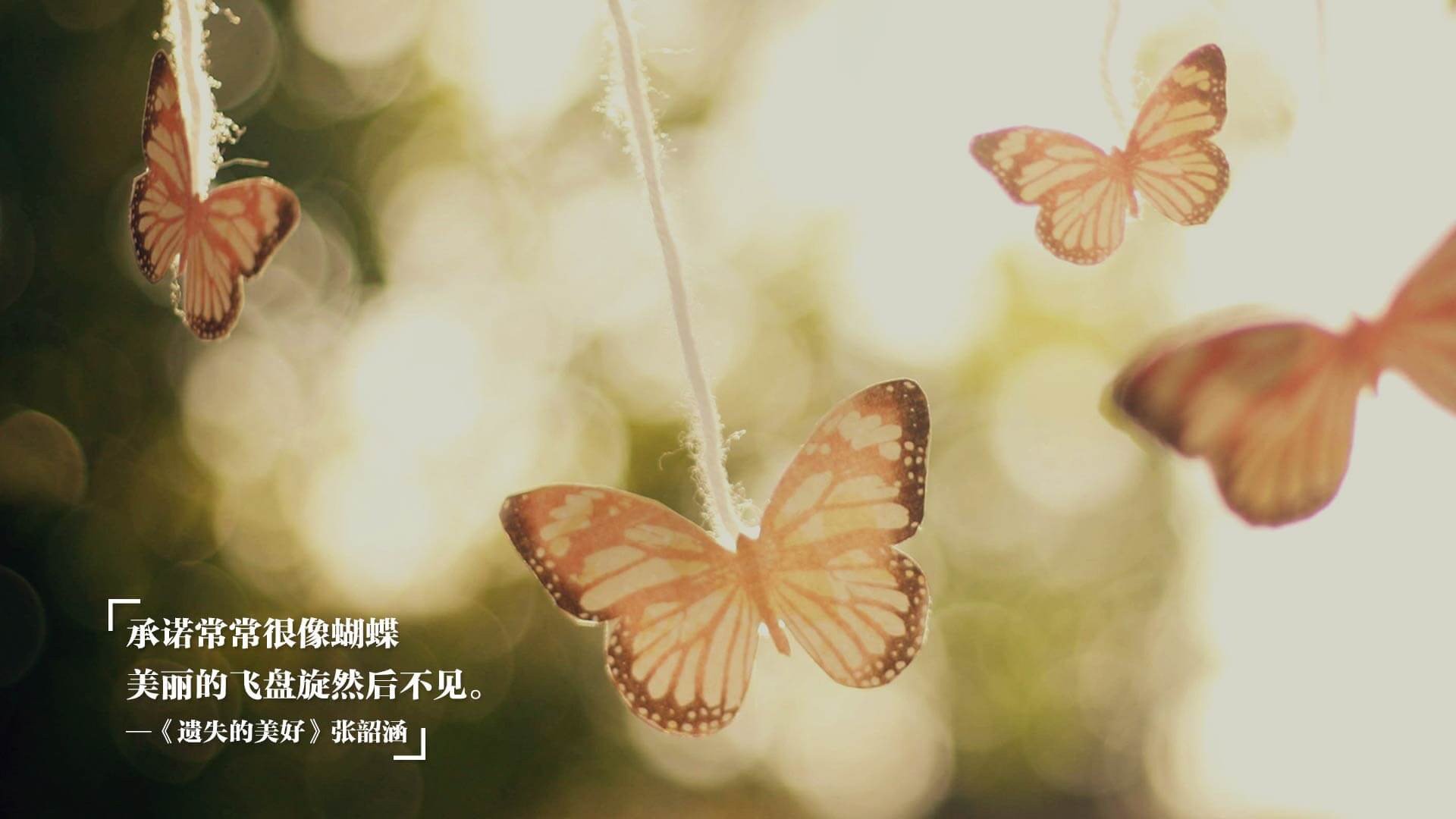 绿宝石沉没记，托尼一锤定音，拉齐奥蓝色海啸正击溃爱尔兰铁壁