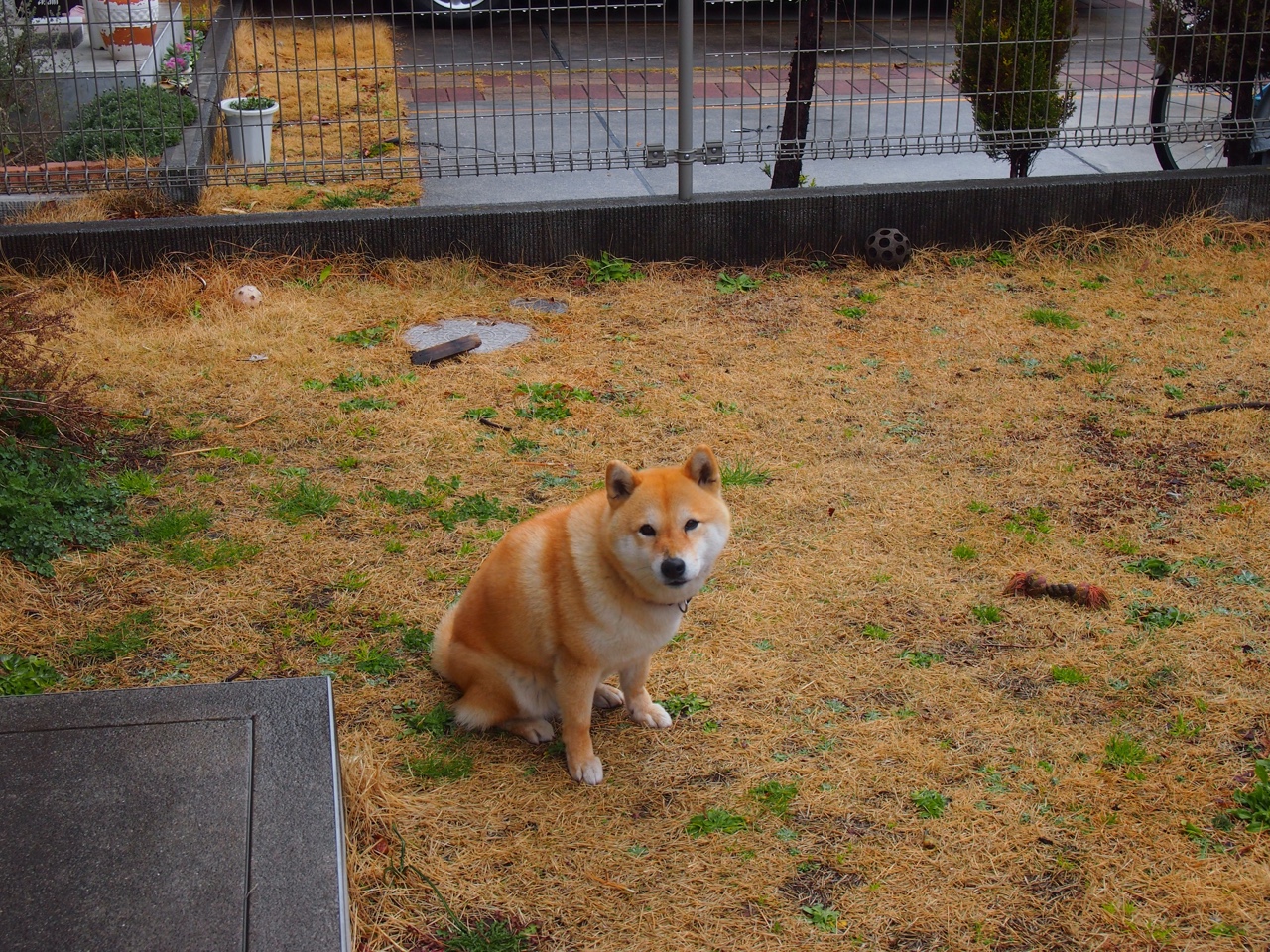 北京队爆冷击溃湖人，切特稳定输出不掉线成制胜密钥