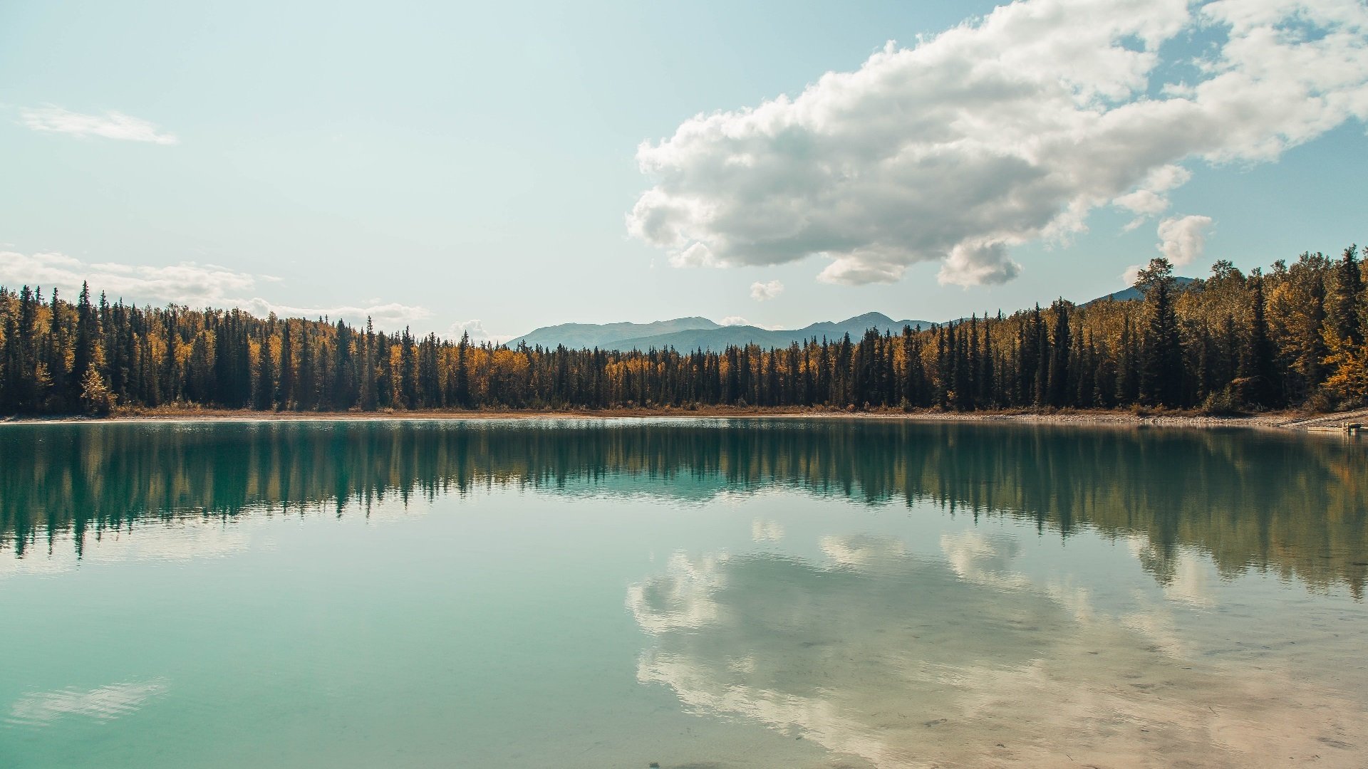 命运齿轮，当孔德一脚踢转威尔士与塞内加尔的足球史