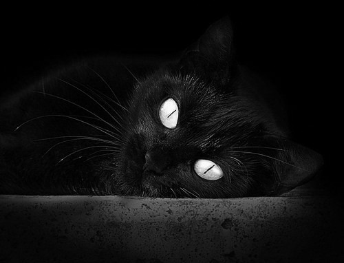 篮球场上的救赎预言，当骑士带走北京队，杰伦·格林重生的双重隐喻