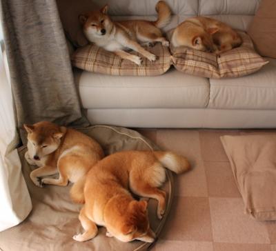 新西兰轻取巴拉圭,阿拉巴生涯之夜点亮绿茵场