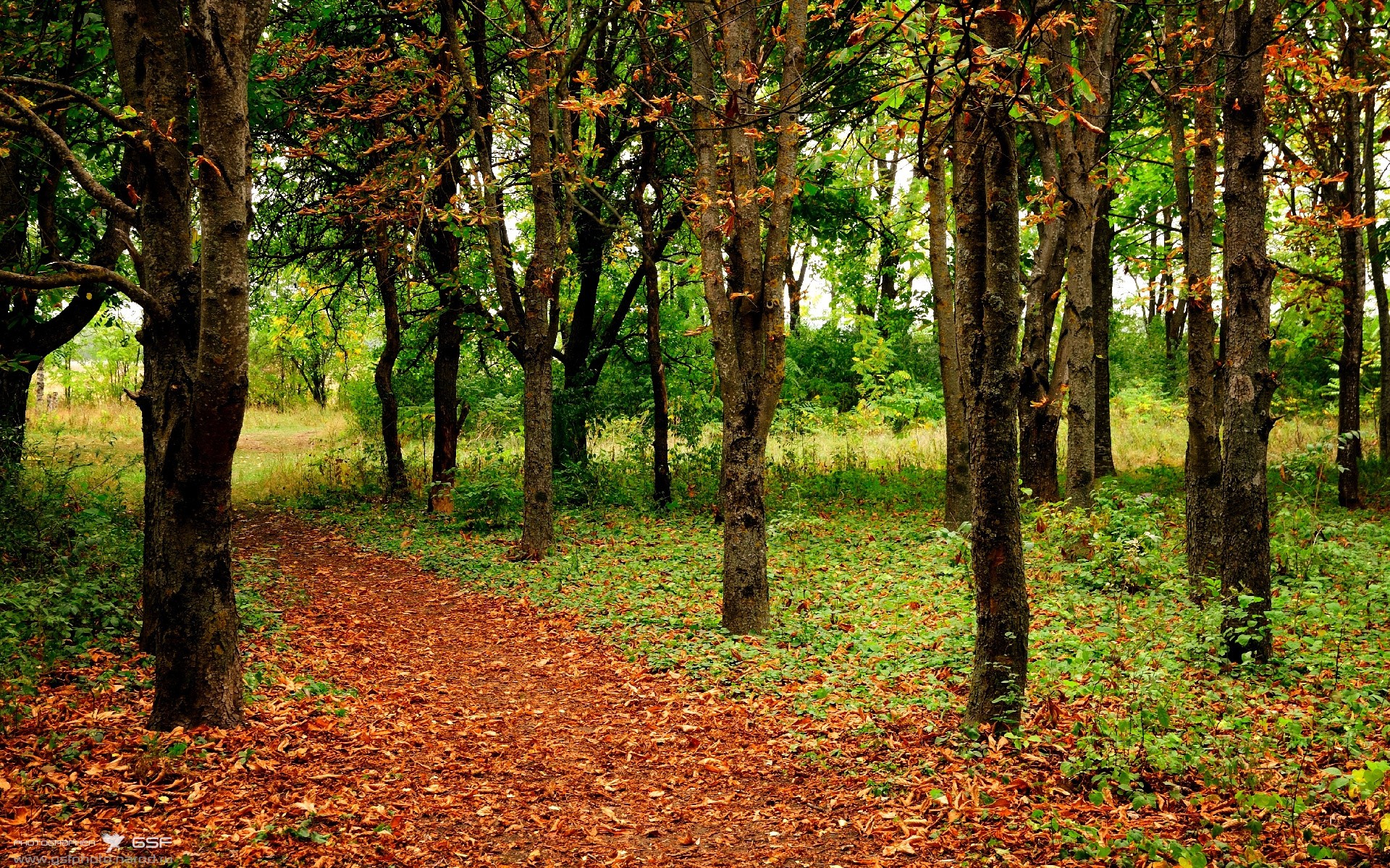 一肩挑起的胜利,霍勒迪用教科书防守锁定欧冠决赛门票