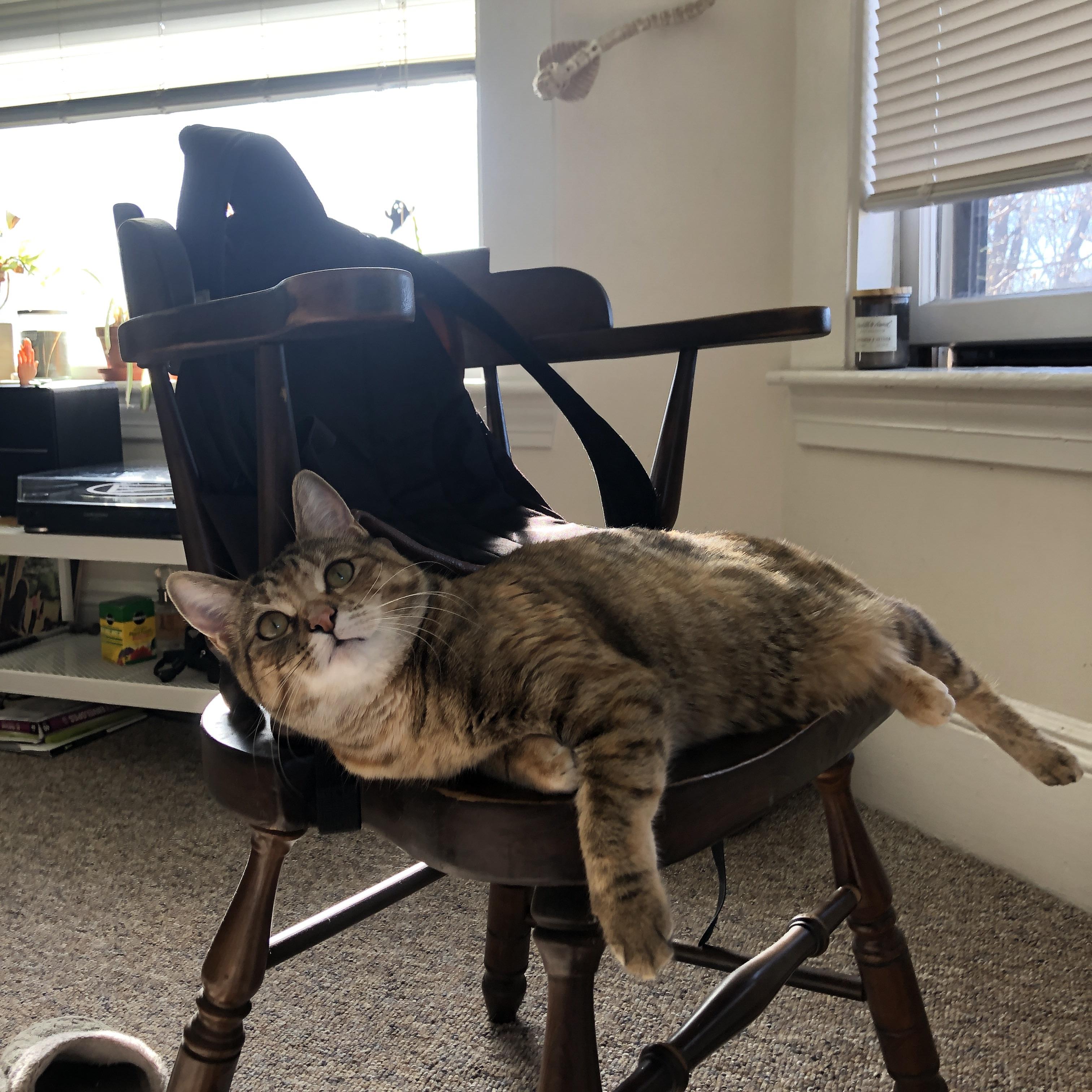 火与石的交响诗，威尔士的钢铁洪流与斯通斯的节奏魔法