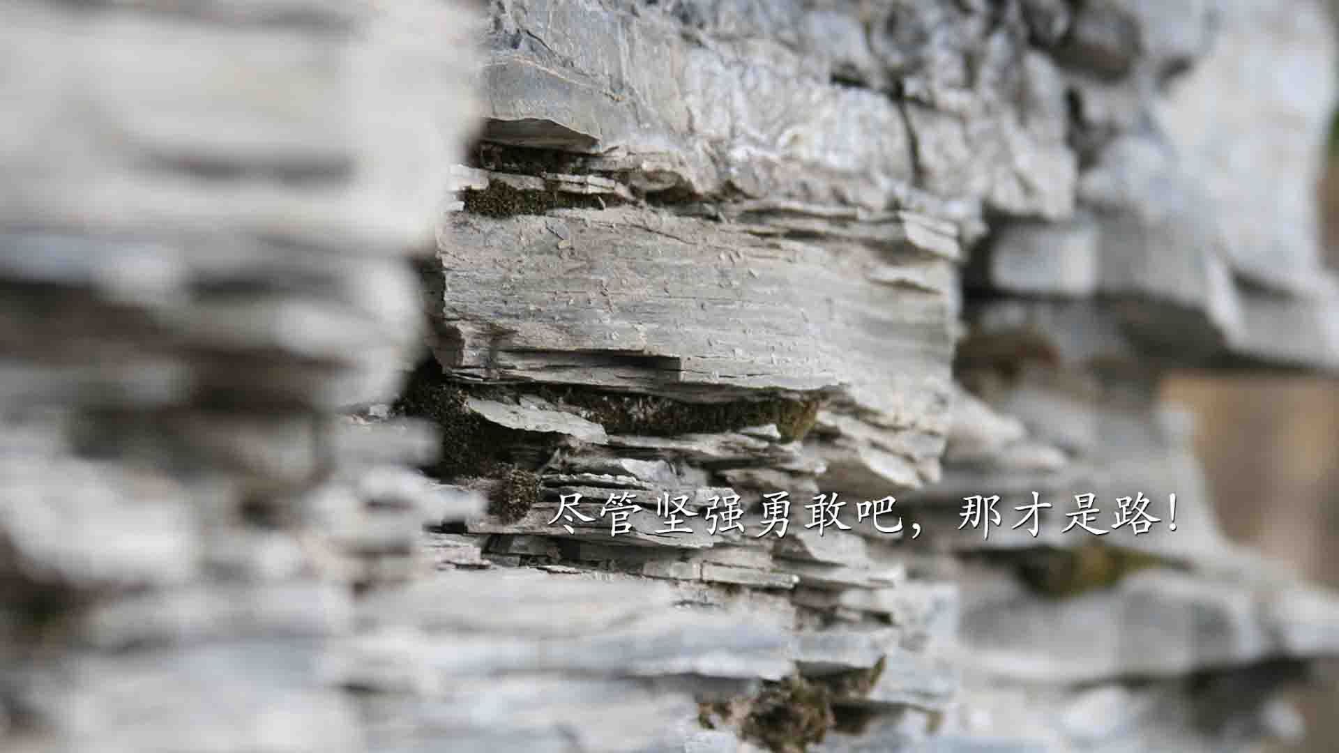 胜负边缘，他是唯一变量，福克斯在上海队与浙江队的钢丝上独舞