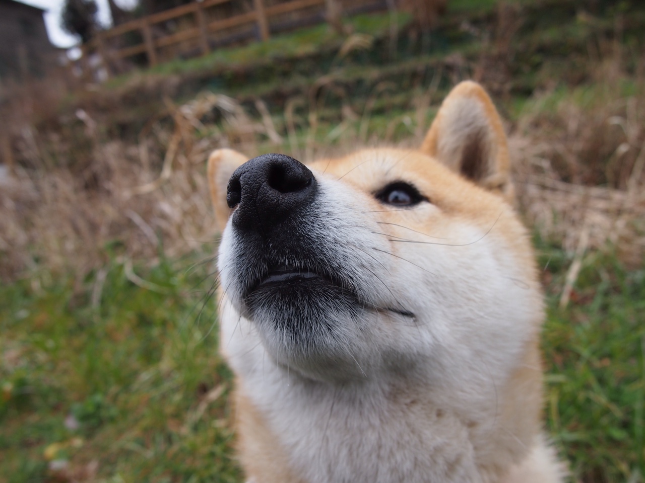 绿茵场上的闪电战与马拉松，从希腊的夜空到英超的黄昏，决定性的从来都是那些瞬间