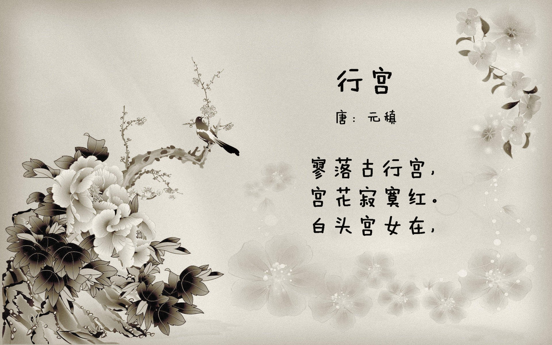 宿命的弧线,当三笘薰的左脚为厄瓜多尔切开北非之锁