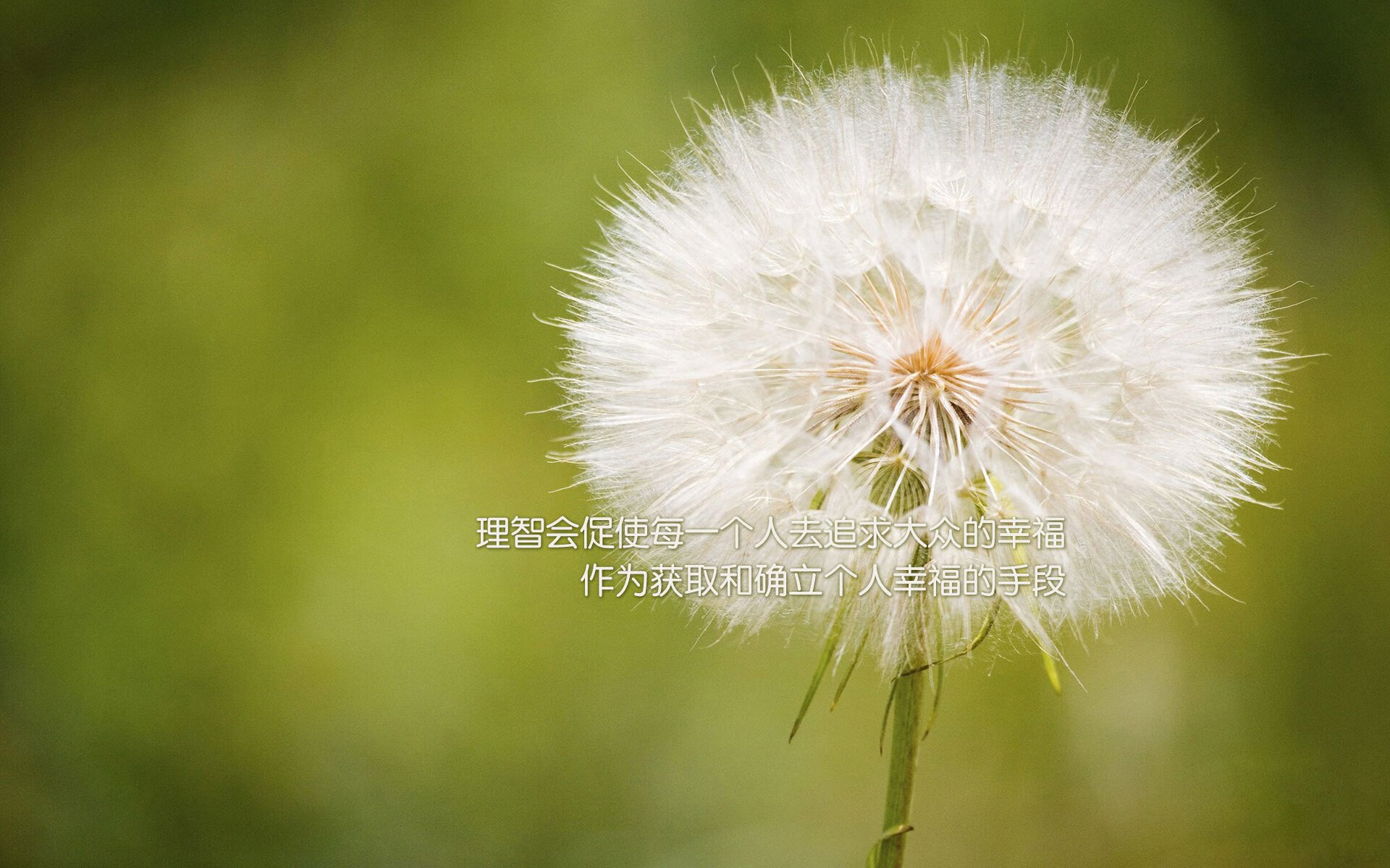 2026世界杯B组,当黑星吞噬蓝武士—幽灵般的莫德里奇,在加纳的血脉中完成致命一击