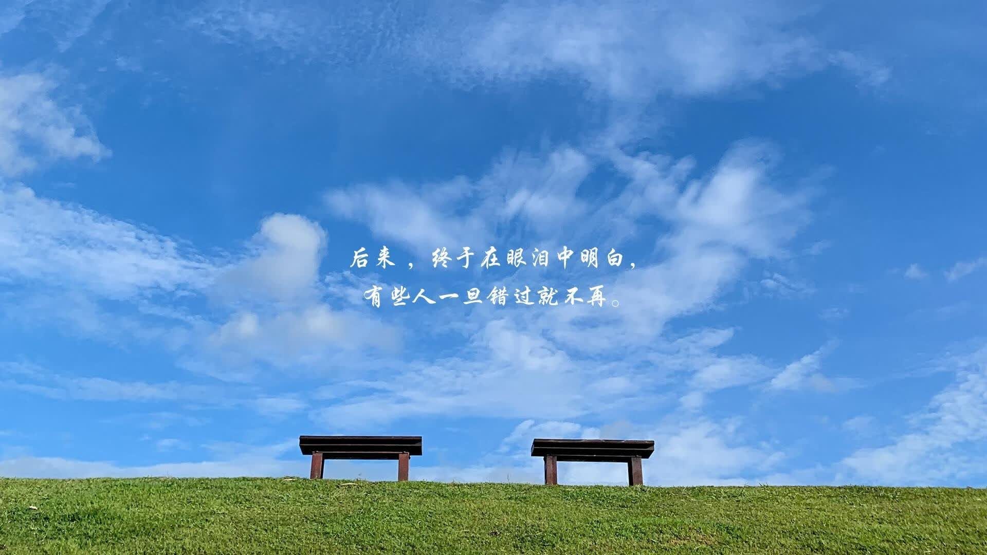 唯一之钟,2026世界杯G组强强对话,京多安加冕时刻