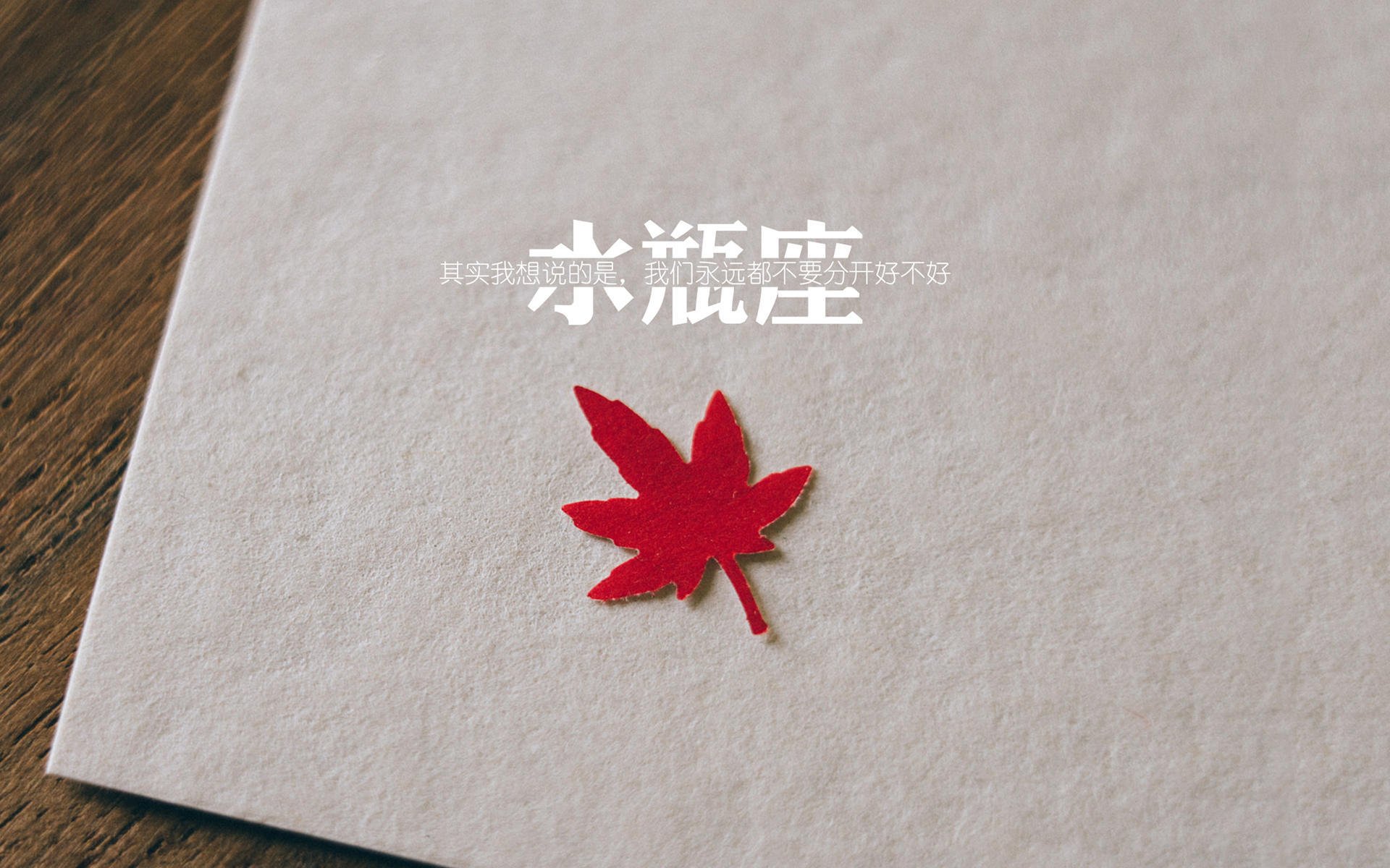 冰与火之歌,当北欧极寒冻结在慕尼黑的最后一抹月光下—2026世界杯巅峰对决,穆西亚拉用灵魂一击,为捷克逆转刻下永恒